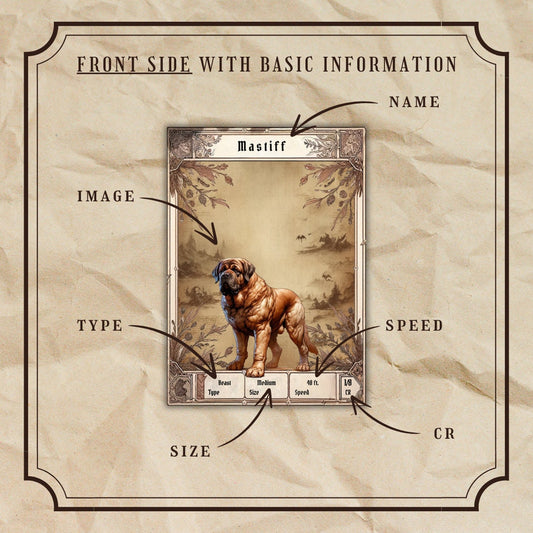 Animal Companion Cards - Alternate view 2