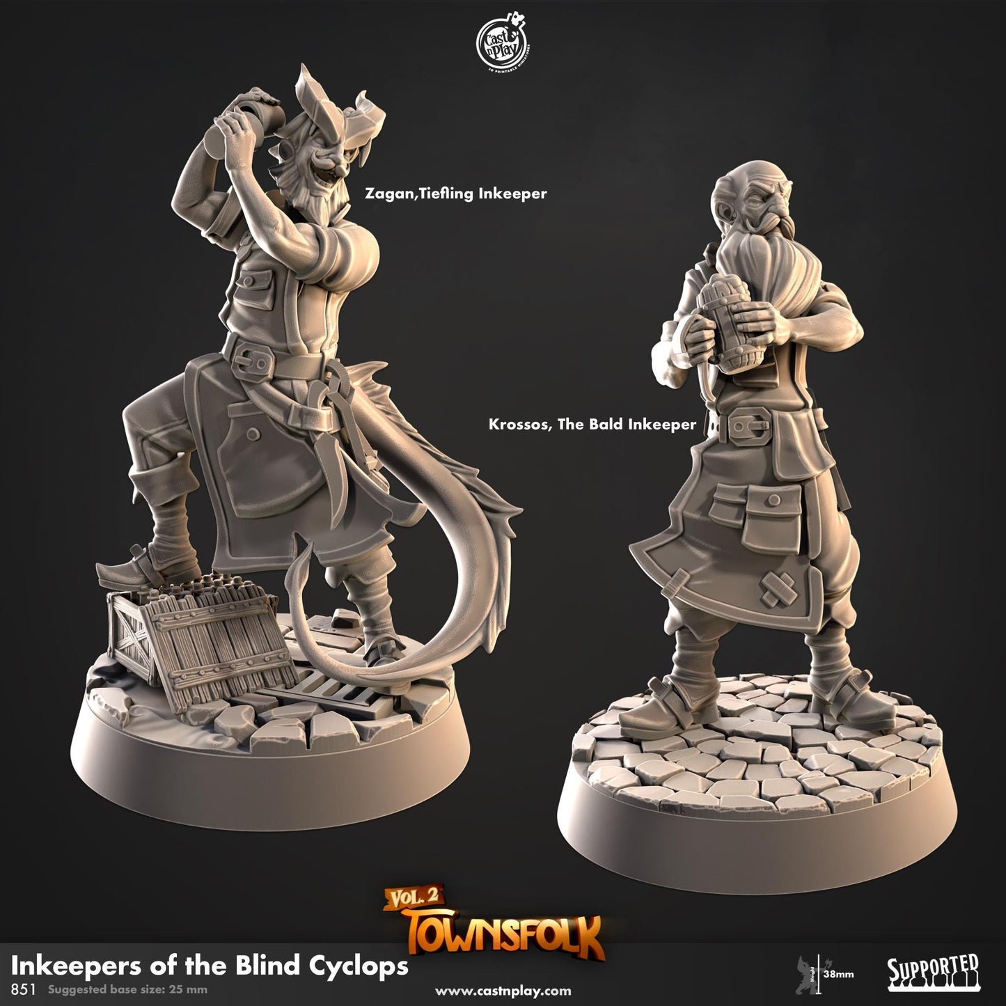 Tiefling Inkeepers Miniature - resin tabletop miniature front view