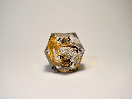 Chonky D20 Die