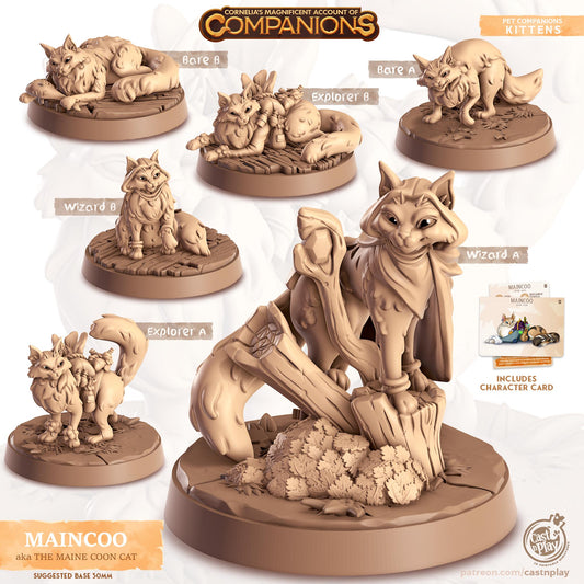 Maine Coon Cat Animal Companion Miniature
