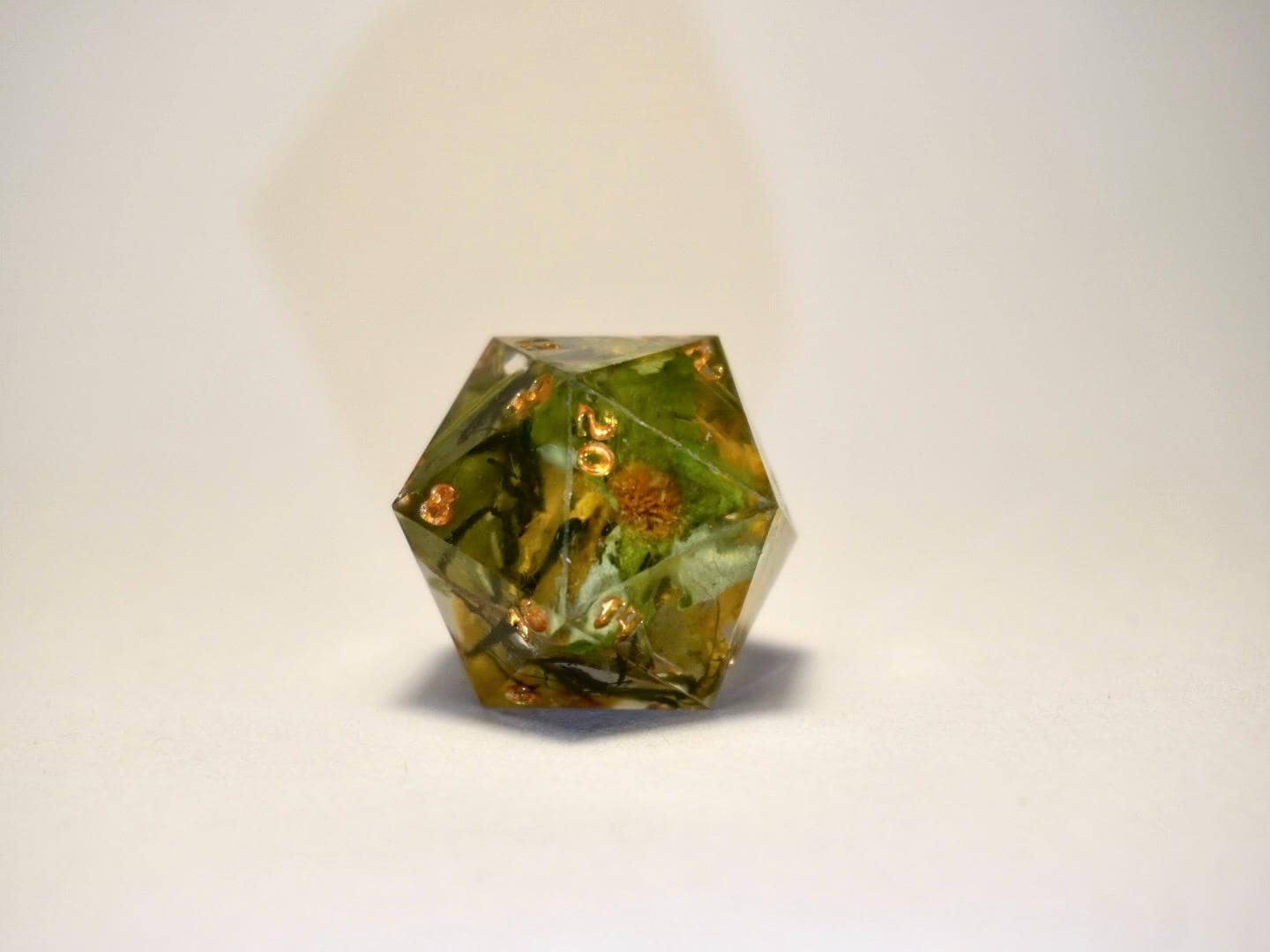 Chonky D20 Die