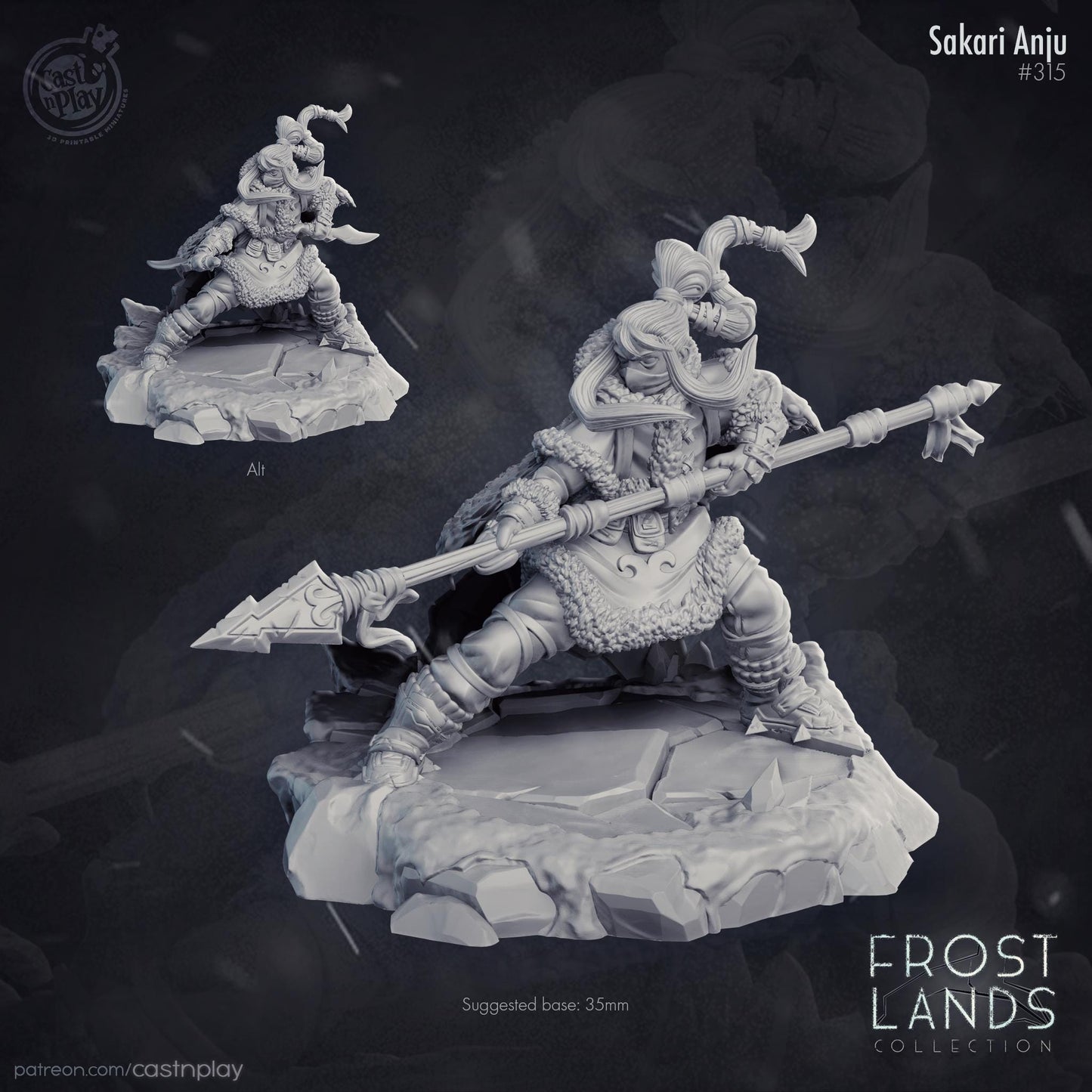 Two fantasy miniatures on a dark background with 'Frost Lands Collection' branding.