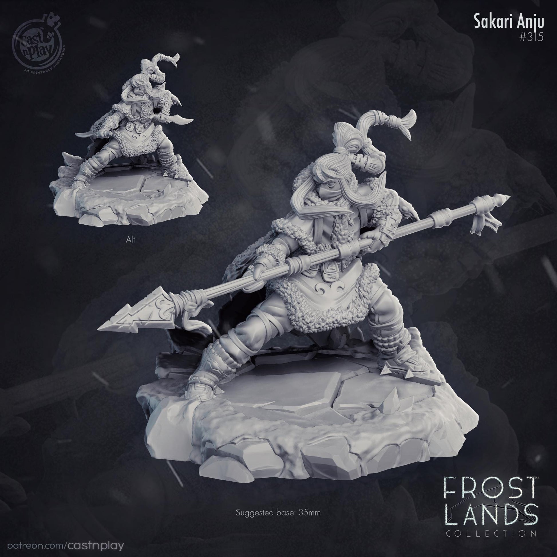 Two fantasy miniatures on a dark background with 'Frost Lands Collection' branding.