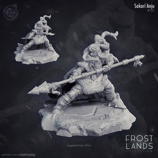 Two fantasy miniatures on a dark background with 'Frost Lands Collection' branding.