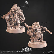 Dwarf Herbalist Miniature - resin tabletop miniature front view