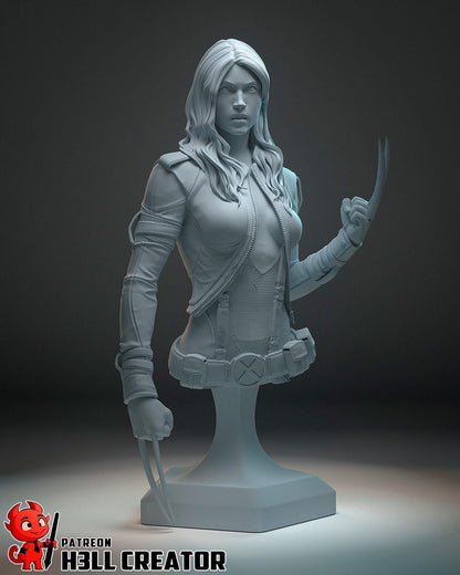 X 23 Bust