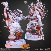 Orc Shaman Miniature - resin tabletop miniature front view