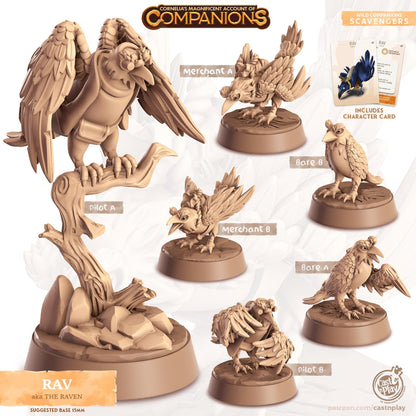 Raven Bird Animal Companion Miniature