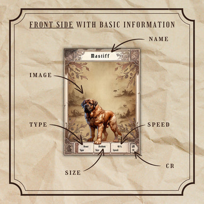 Animal Companion Cards - Alternate view 2