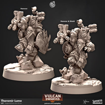 Dwarf Paladin, Fighter & Barbarian Miniature