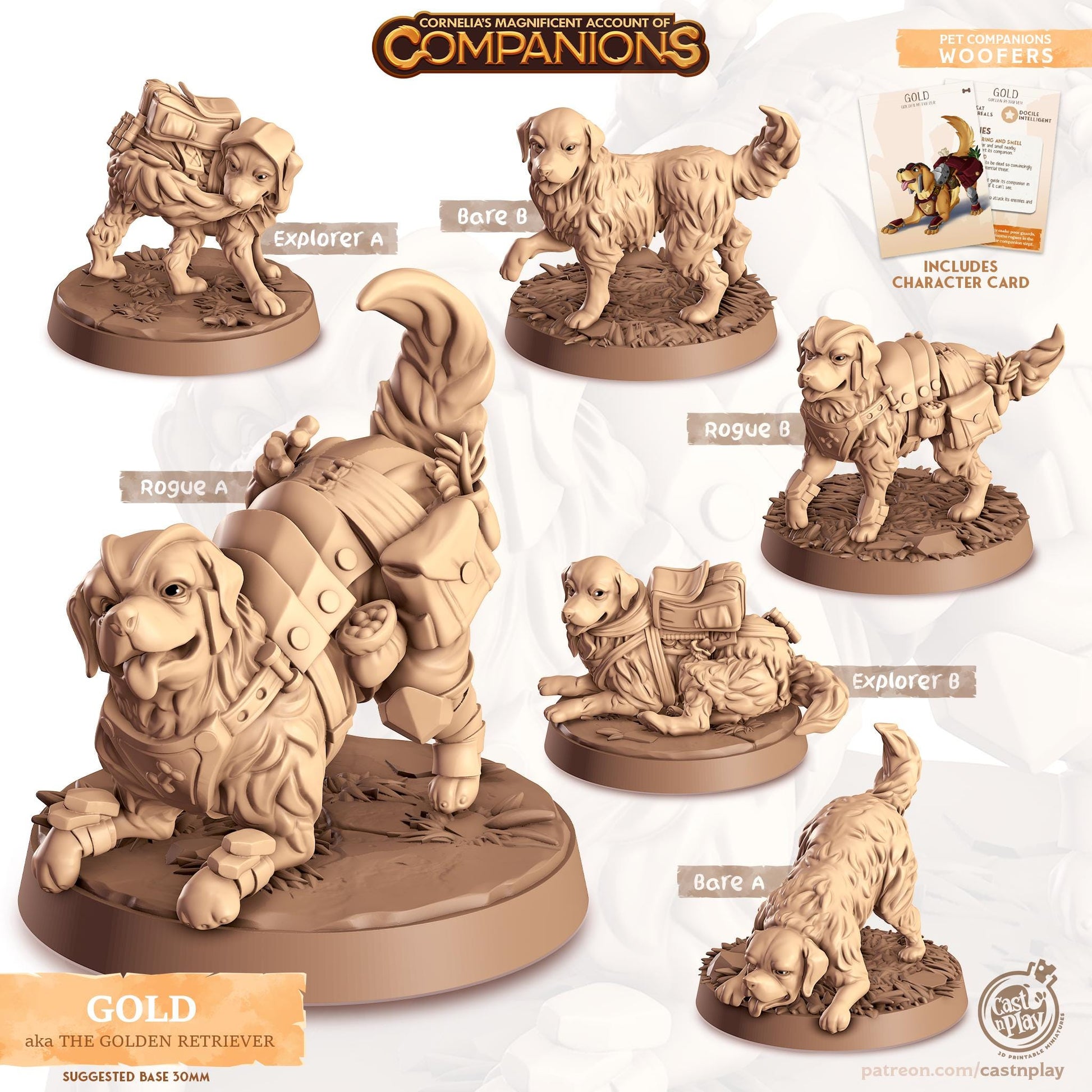 Golden Retriever Dog Animal Companion Miniature