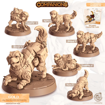 Golden Retriever Dog Animal Companion Miniature