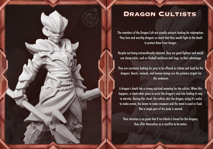 Human Cultist Fighter Miniature - Alternate view 2