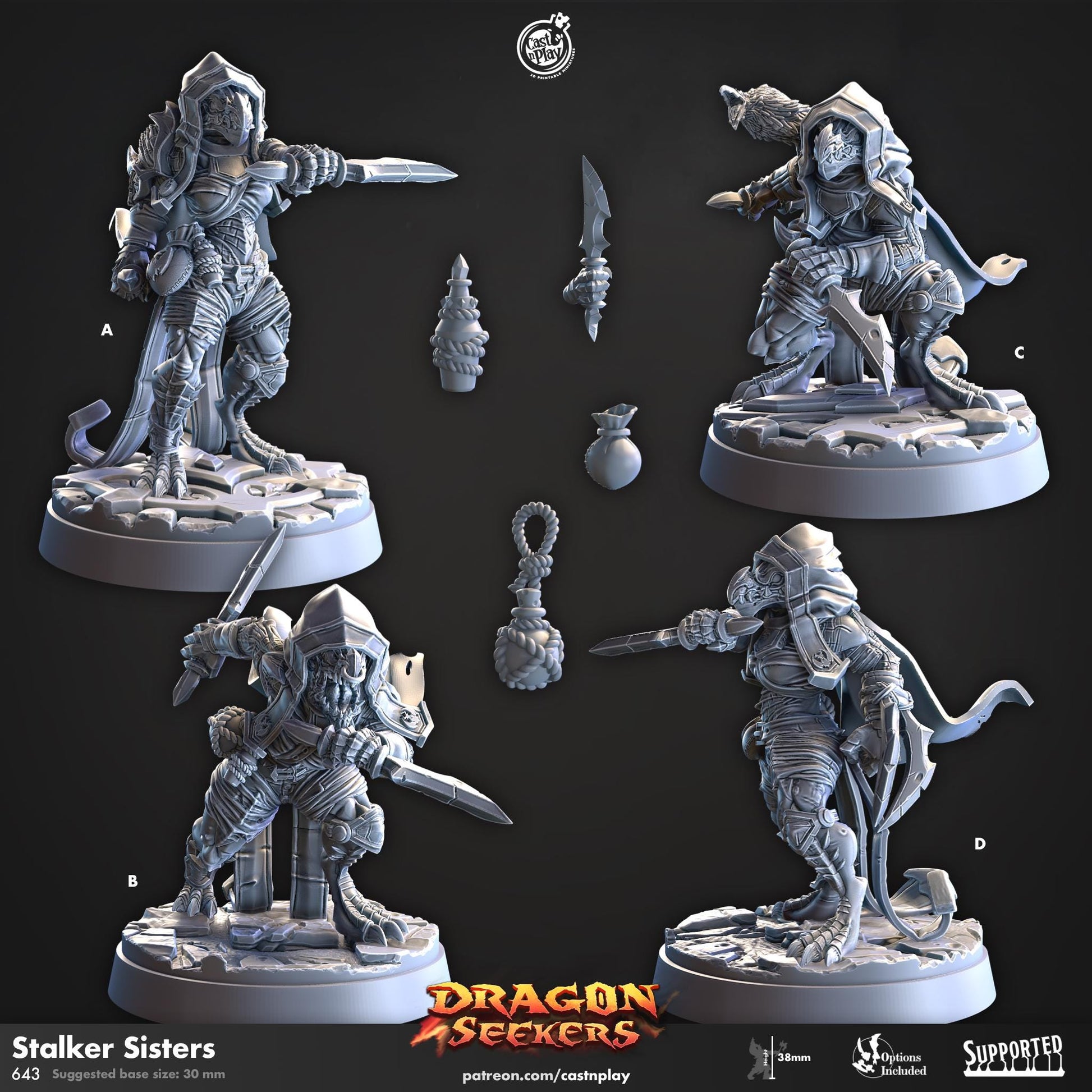 Dragonborn Rogue Miniature