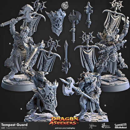 Dragonborn Paladin Miniature