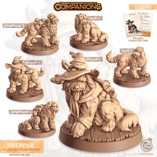 English Shepard Dog Animal Companion Miniature