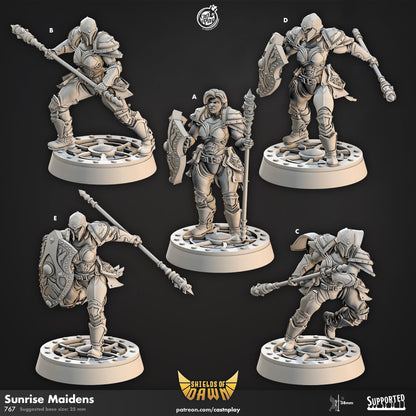 Female Human Fighter & Paladin Miniature