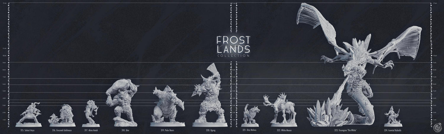 Frost Wolf Enemies / Druid Wild Shape / Companion(s) Miniature