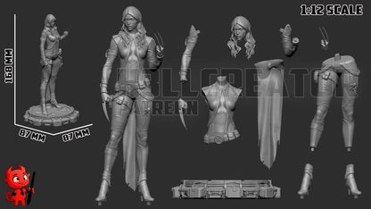 X 23 Figure - Alternate view 8