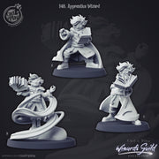 Wizard Miniature - resin tabletop miniature front view