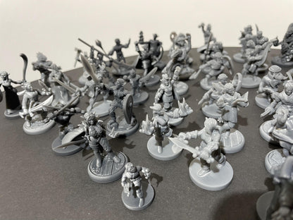 47 Miniature Set - Various Races and Classes