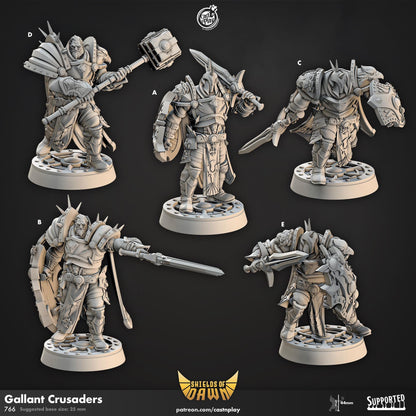Human Paladin & Fighter Miniature