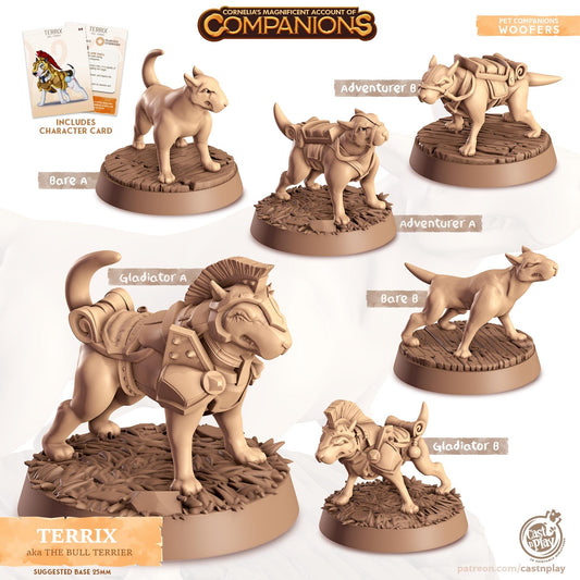 Bull Terrier Dog Animal Companion Miniature