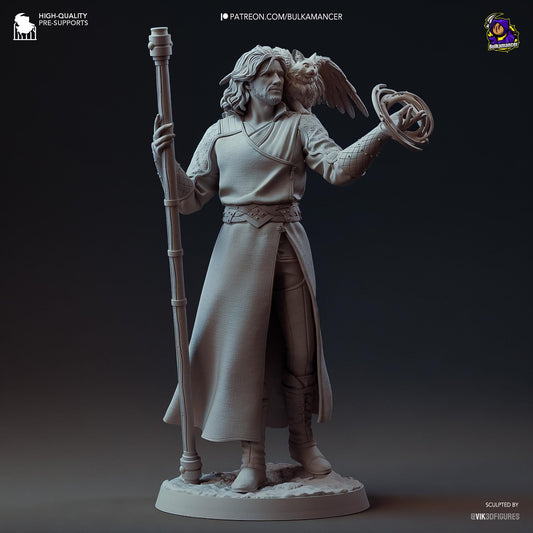 Gale Figure - Baldur's Gate 3
