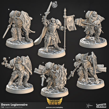 Paladin & Fighter Miniature