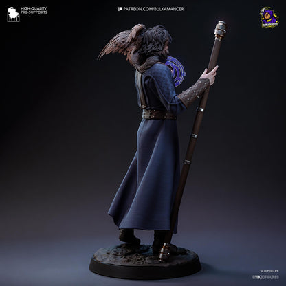 Gale Figure - Baldur's Gate 3 - Alternate view 6