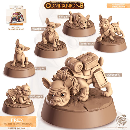 French Bulldog Dog Animal Companion Miniature