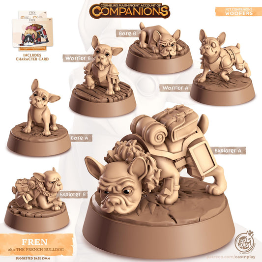 French Bulldog Dog Animal Companion Miniature