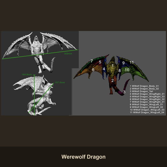 Werewolf Dragon Fantasy Miniatures